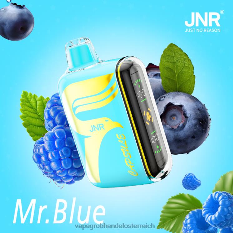 Vape Großhändler Herr Blau 4FVXR606 JNR CAPSULE