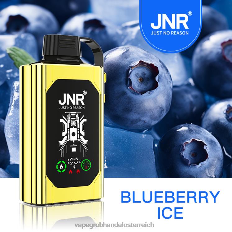 Einweg Vape Österreich Blaubeereis 4FVXR617 JNR SHISHA BOX