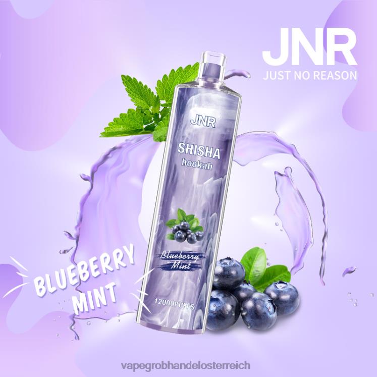 Vape Großhandel Preise Blaubeerminze 4FVXR672 JNR SHISHA