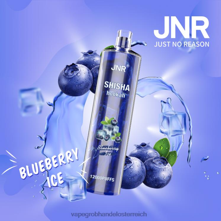 Vape Großhandel Österreich Blaubeereis 4FVXR671 JNR SHISHA