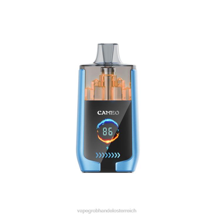 LAVIE CAMEO 30000 Züge 4T4XL13 | Vape Wien Erdbeereis