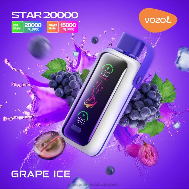 Vape Großhandel Preise Traubeneis 24LZ9 VOZOL STAR 20000